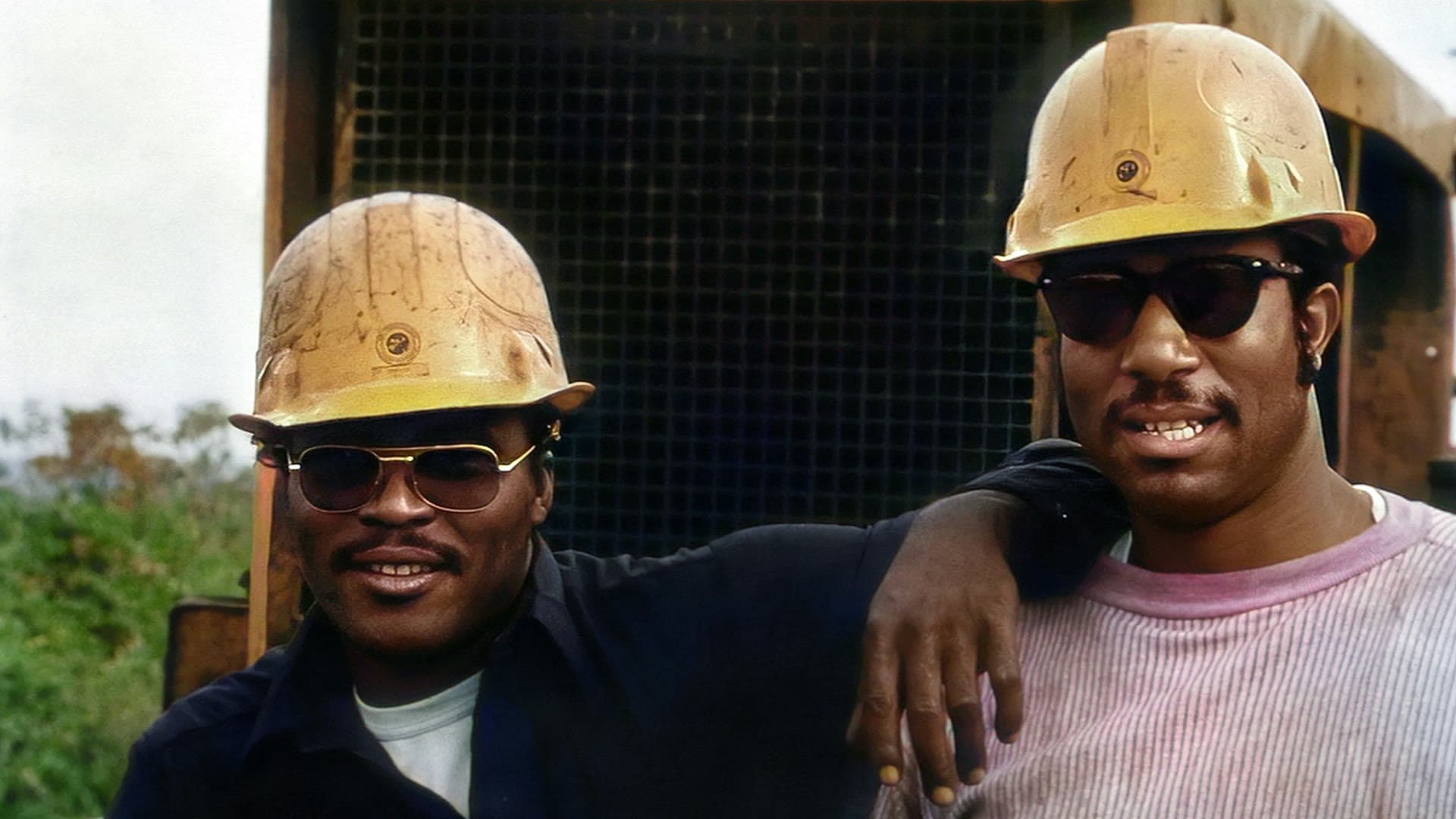 Équipe CIREX Ingénierie